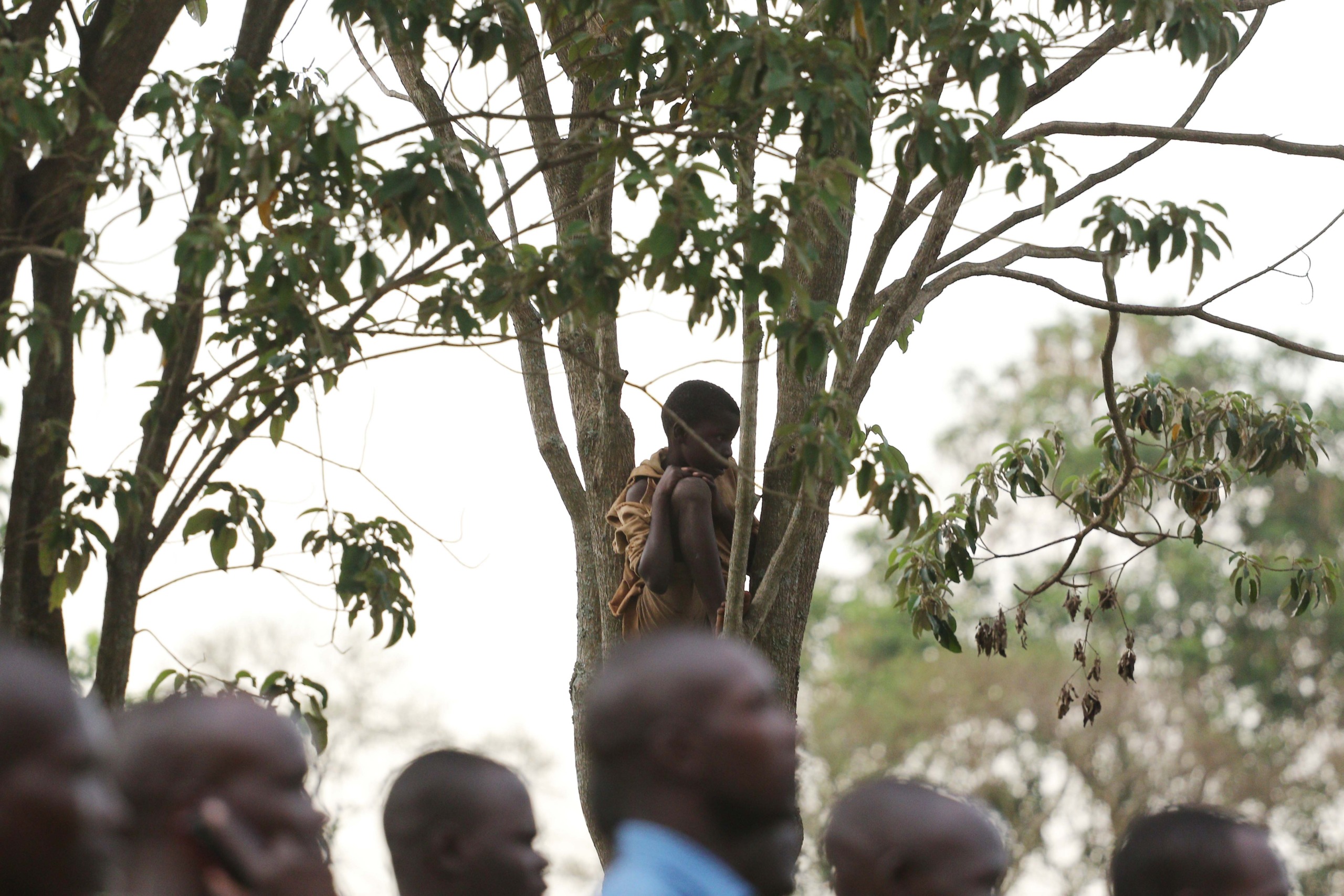 A boy climbed a tree to have a clear view during Busoga vs Kampala